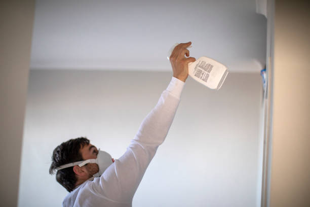 Best Mold Removal Company Near Me  in Silver Ridge, NJ