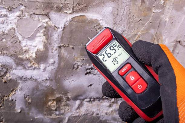 Best Mold Testing  in Silver Ridge, NJ