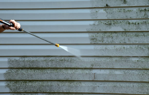 Best Office Mold Removal Services  in Silver Ridge, NJ