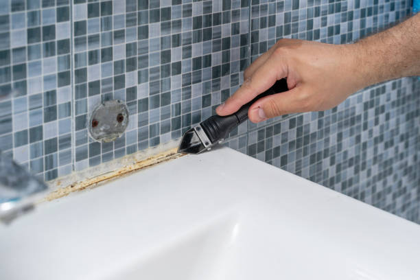 Best Same-Day Mold Removal  in Silver Ridge, NJ