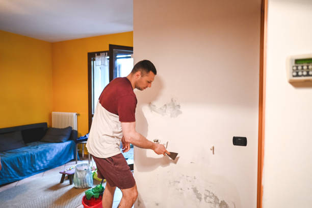 Best Fast Mold Removal  in Silver Ridge, NJ